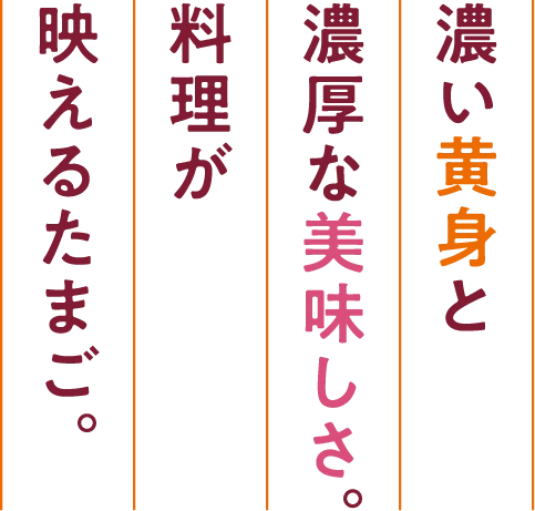 濃い黄身と濃厚な美味しさ。料理が映えるたまご。